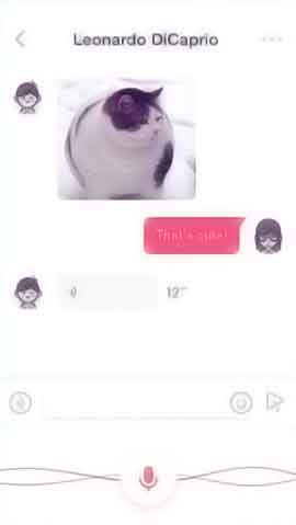 DDOS网页端平台软件程序维护界面